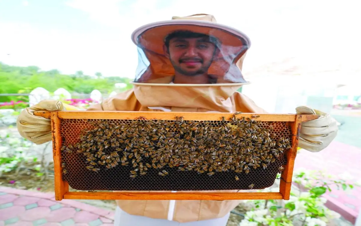 تعلم تربية النحل في دبي في 5 أيام
