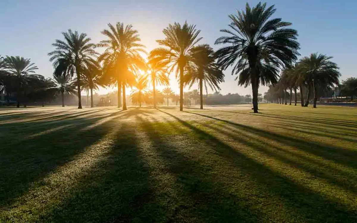 ارتفاع حرارة الإمارات