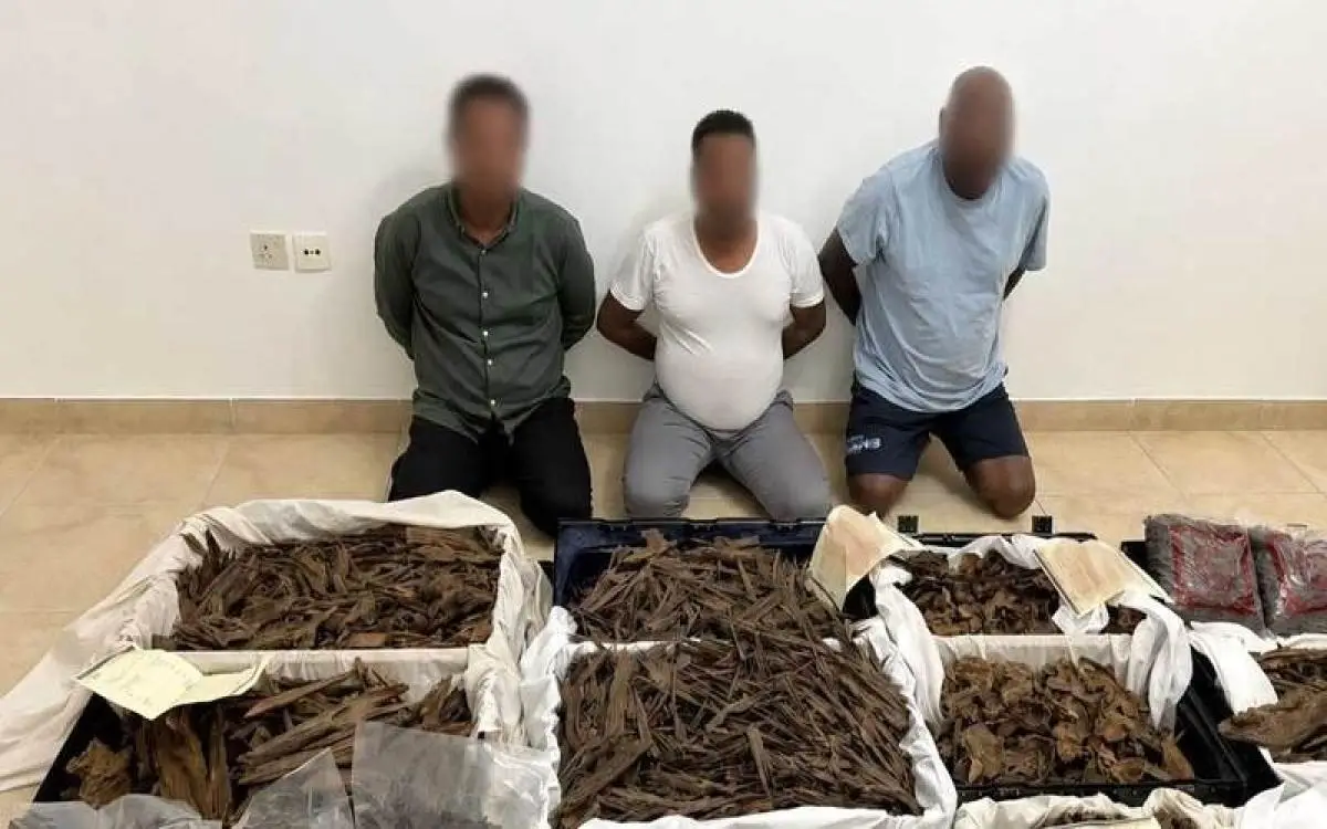 "أميرة العود" وعصابتها في قبضة شرطة دبي