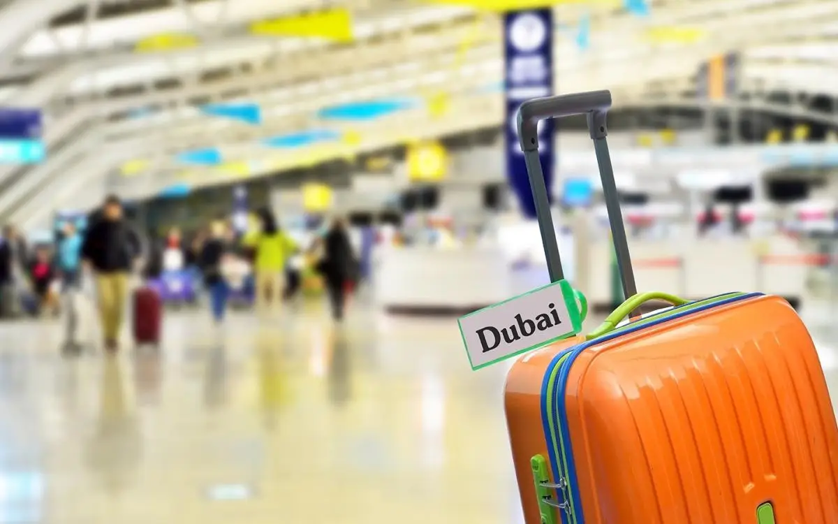 ضفادع وثعابين في حقيبة بمطار دبي