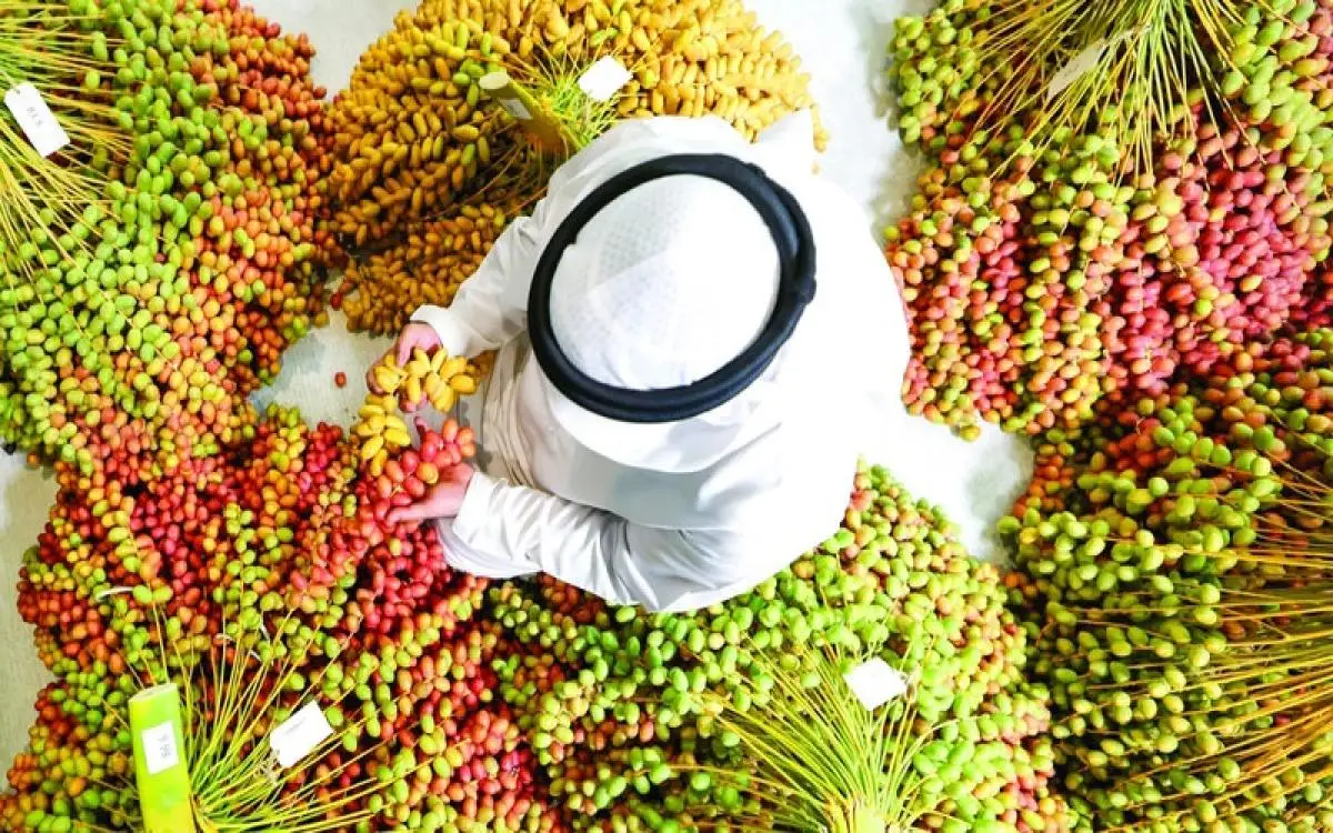 رطب دبي على أبواب 5 آلاف أسرة