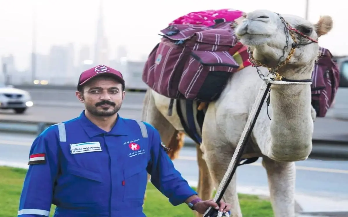 2500 كم من اليمن إلى دبي على ظهر الجمل
