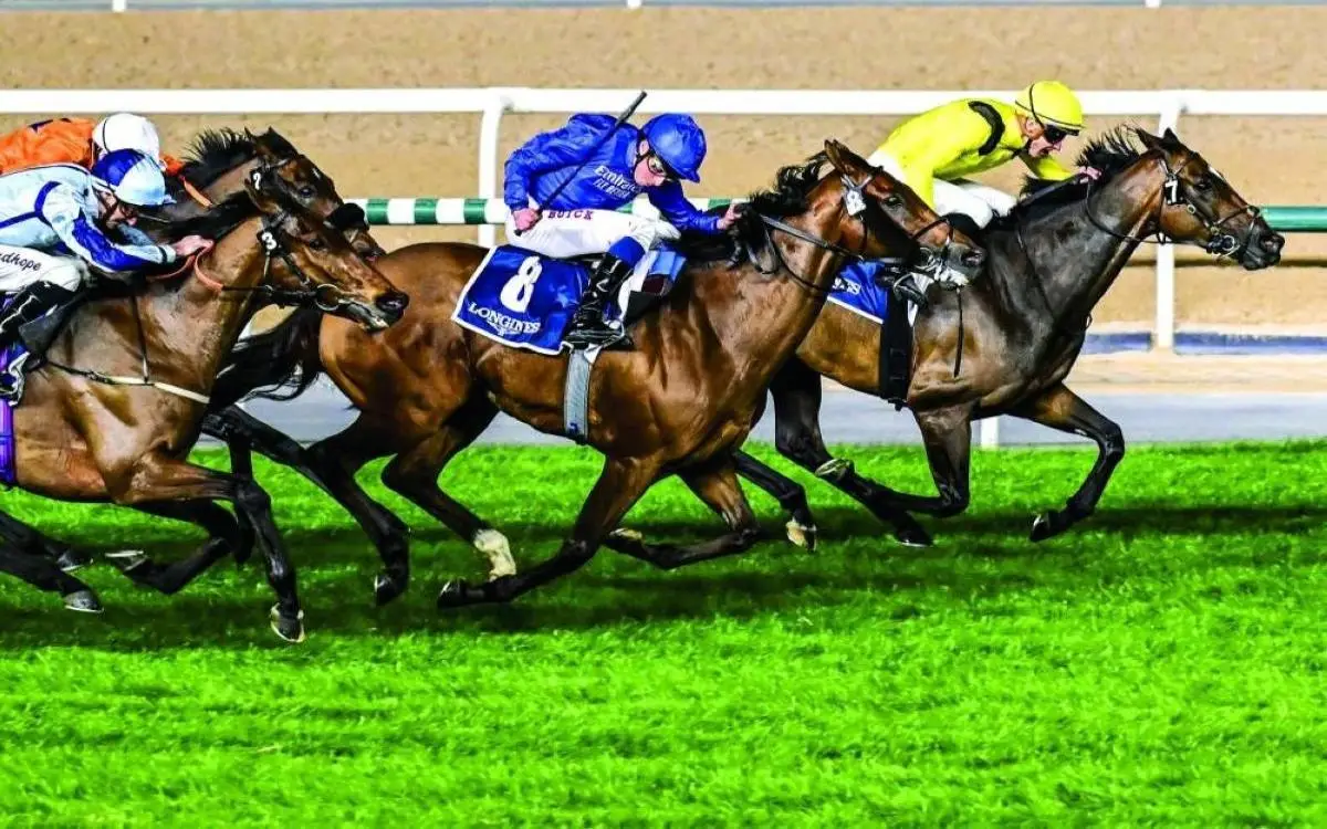 دبي تدرب "مهندسين" لسباقات الخيل