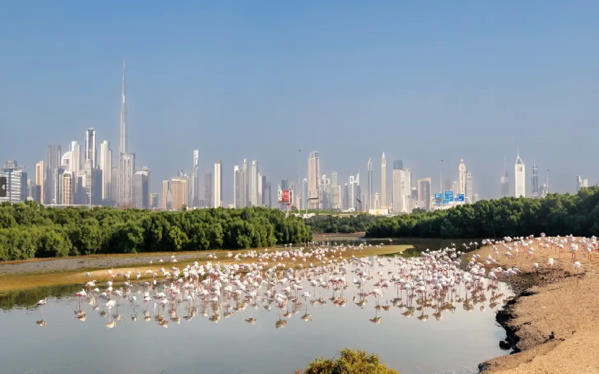 الإمارات في قلب القرار البيئي العالمي