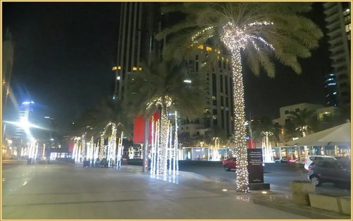 دبي ترسم هويتها بالأضواء