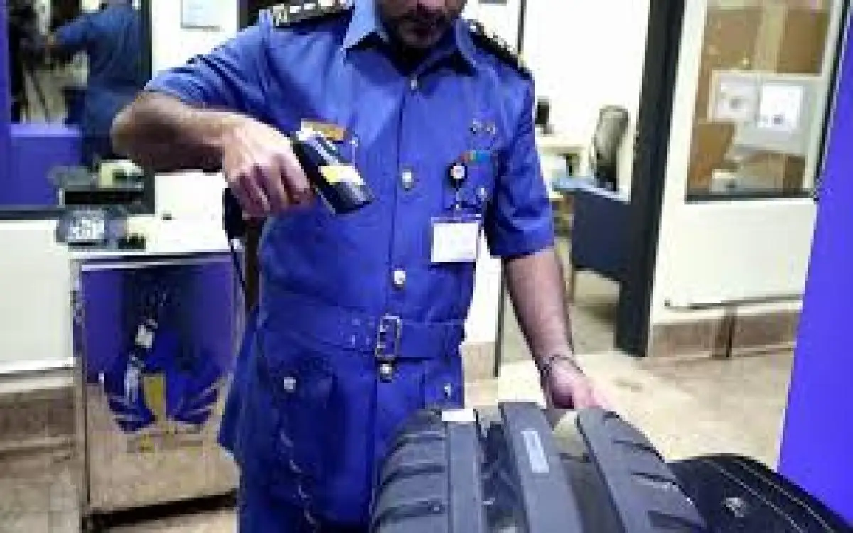 جمارك دبي أكثر خبرة "سينية"