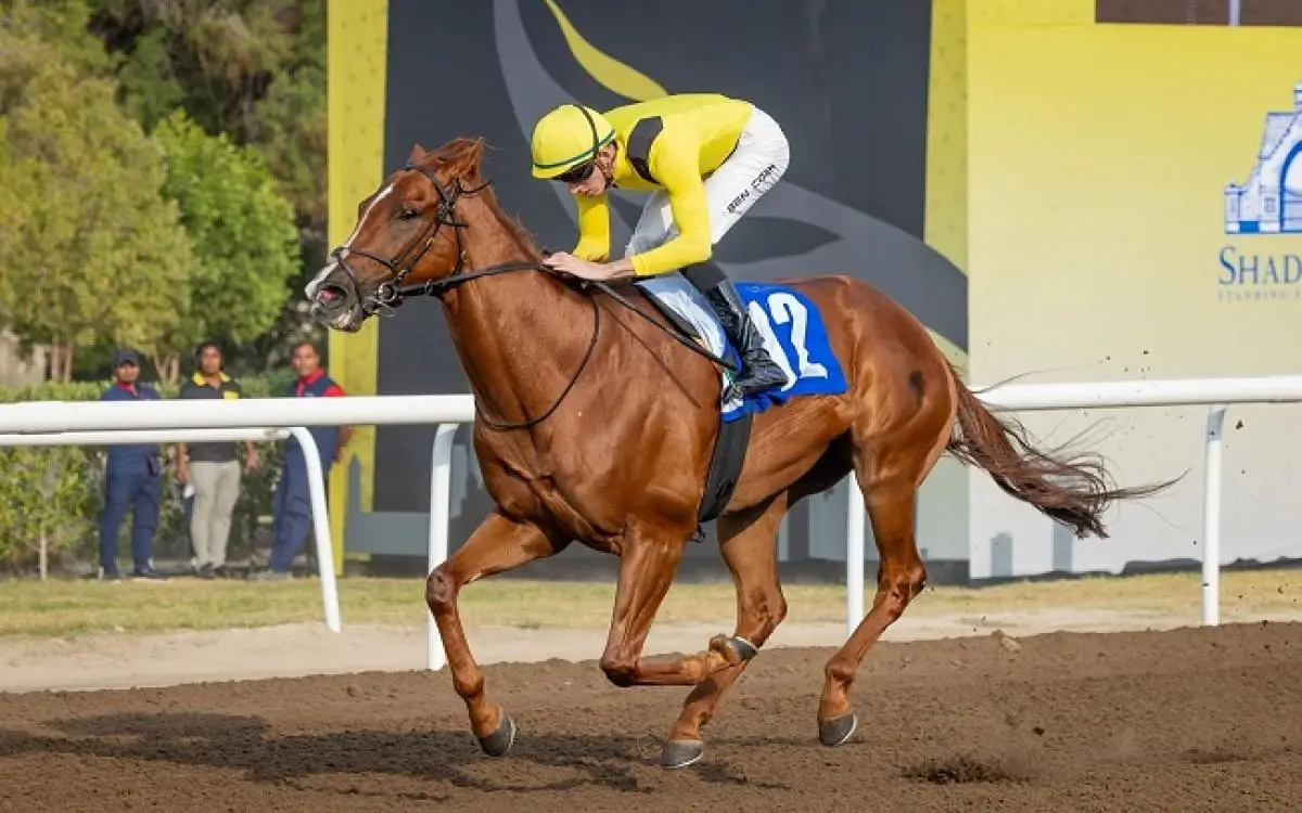 "المضمار الأصفر" في دبي يزيد الجوائز ويُشرك الجمهور في السباقات!