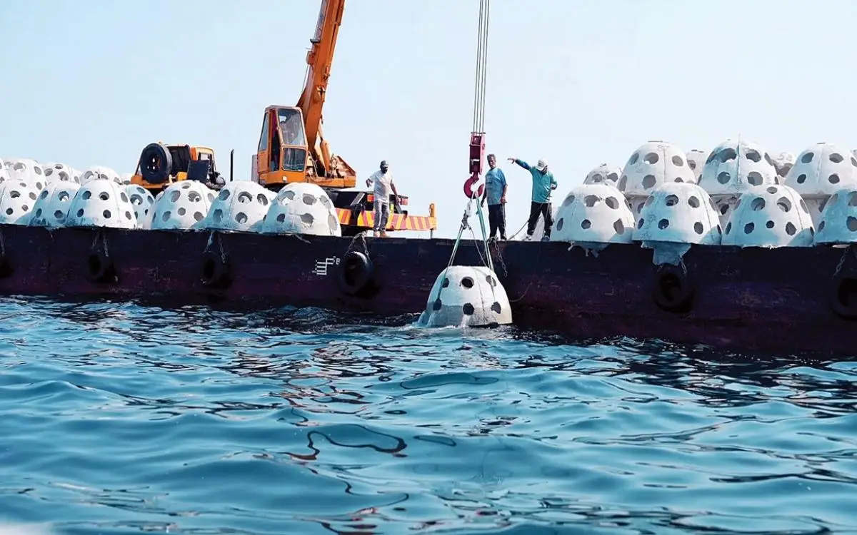 أسماك 3 إمارات تأوي إلى كهوف اصطناعية