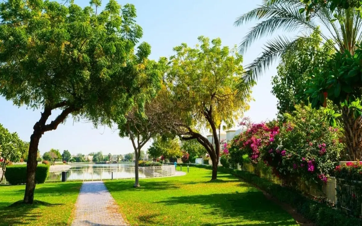 دبي تراقب 2000 شجرة لإنقاذ العالم من الحرارة