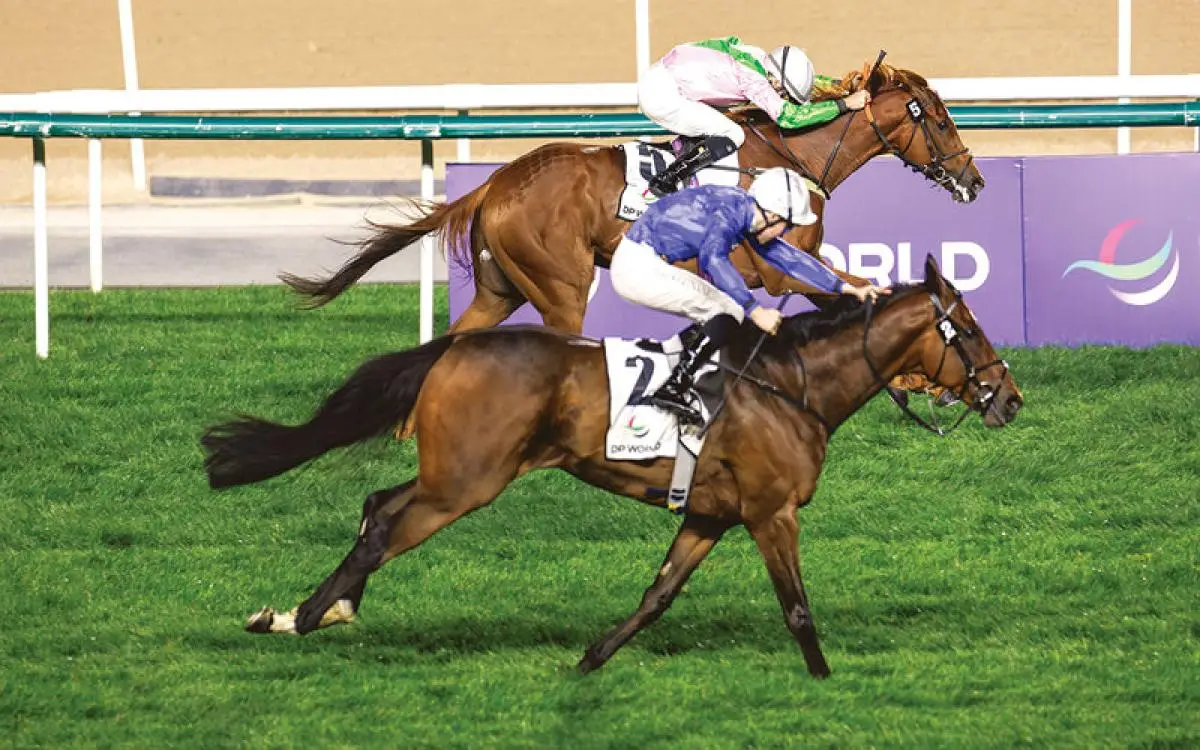 «فورت جورج» يتصدر و7 خيول أخرى تفوز بألقاب في «سباقات دبي»