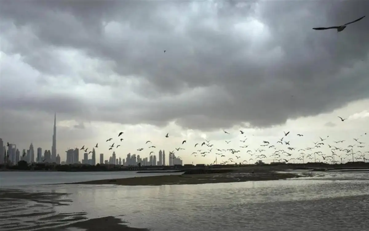 طقس الإمارات ومواعيد الضباب والأمطار حتى الخميس