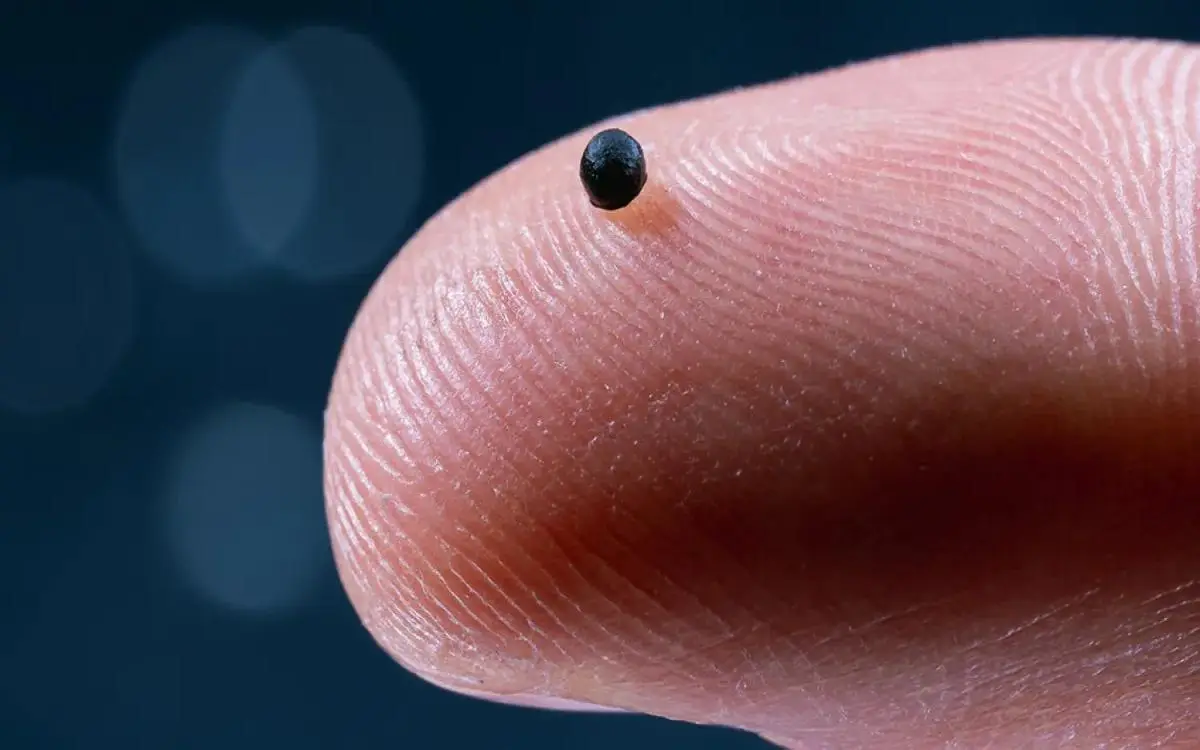 كبسولة روبوتية تتجول في الجسم لتوصيل الدواء