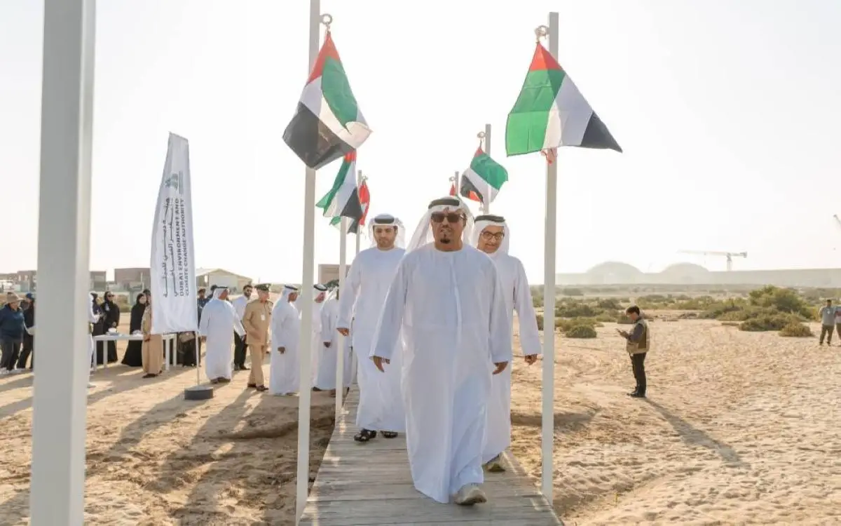 دبي تبدأ زراعة 40 ألف "مصرّف كربون"