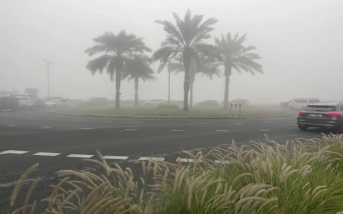 أمطار دبي ترفع التأهب في الأودية والجبال والبحر