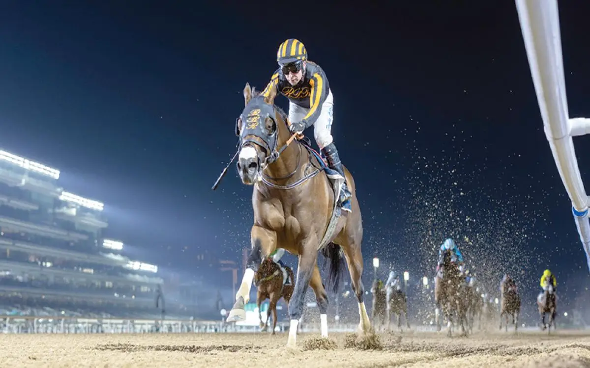 خيول تتألق على الرمل والعشب في ميدان «جزر دبي»