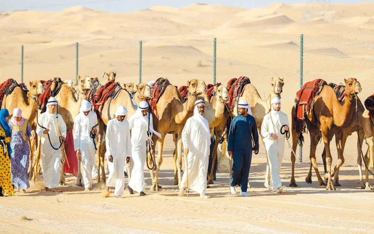 "أطول رحلة هجن" تحط في دبي قبل استكمال مشوار الـ1050