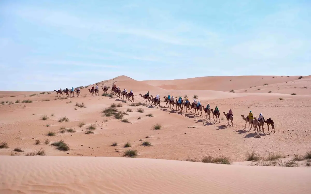 بعد رحلة الـ13 يوماً.. رحلة الهجن تقترب من خط النهاية بالقرية العالمية في دبي