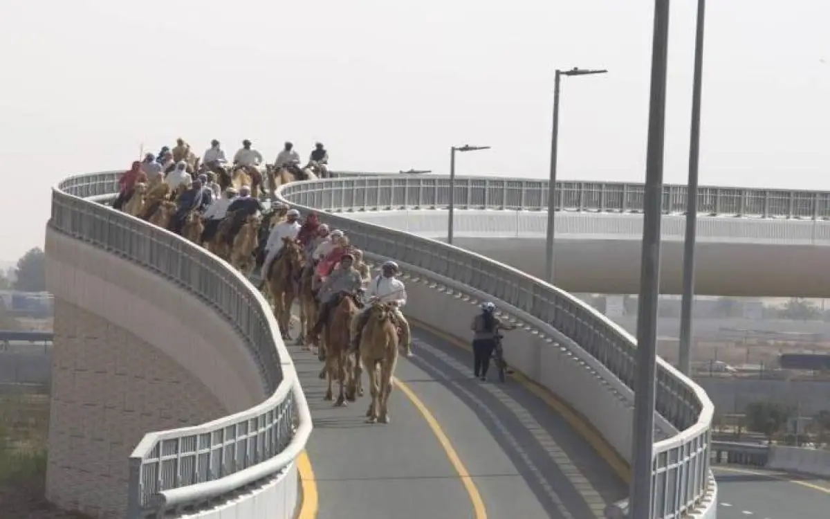 بخور وزعفران عند خط نهاية رحلة الهجن في دبي