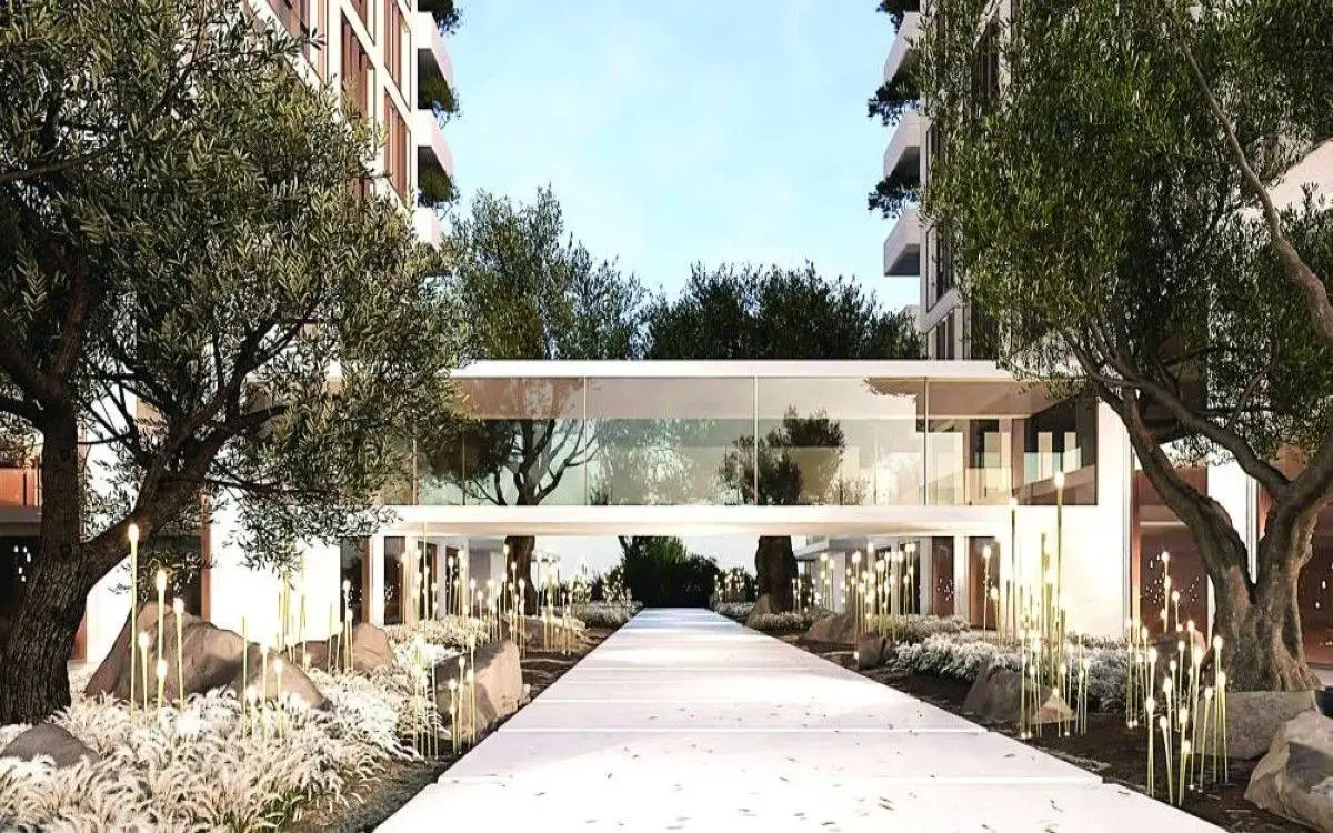 إرث عتيق وسط الحداثة.. دبي تستقبل زيتونات عمرها 2500 عام