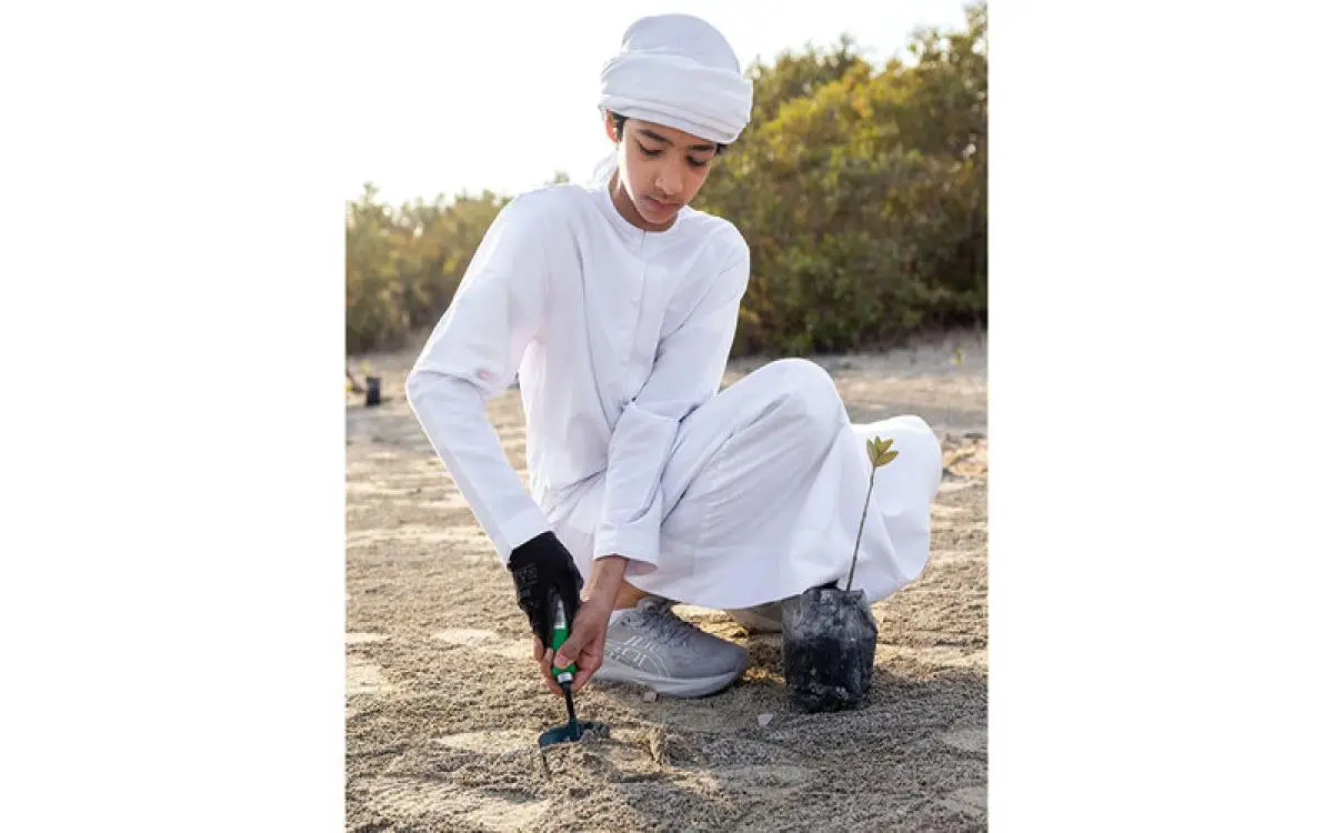478 ساعة تطوع في دبي تزرع 600 شجرة قرم جديدة