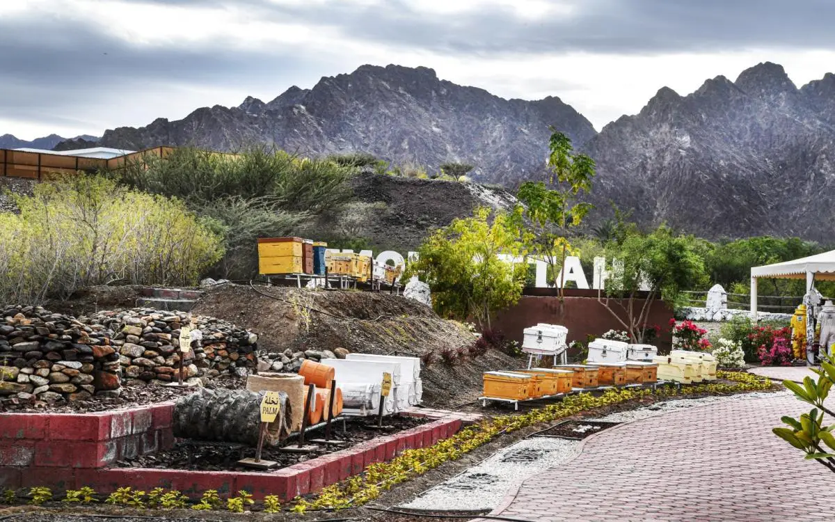 دبي تكشف «بصمة العسل»