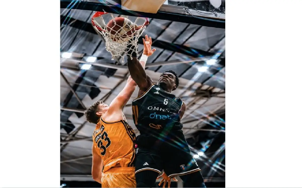 11 من 11 لسلة دبي