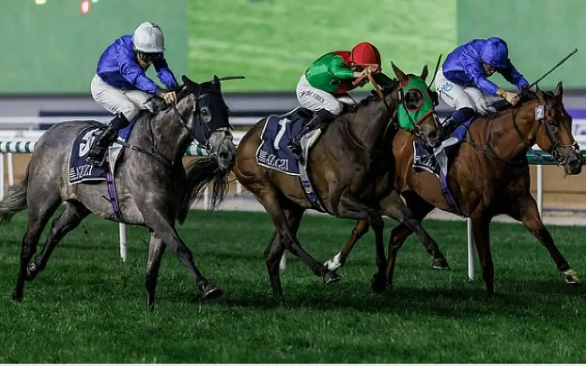 86 جواداً تختبر مسافات أطول في كرنفال دبي