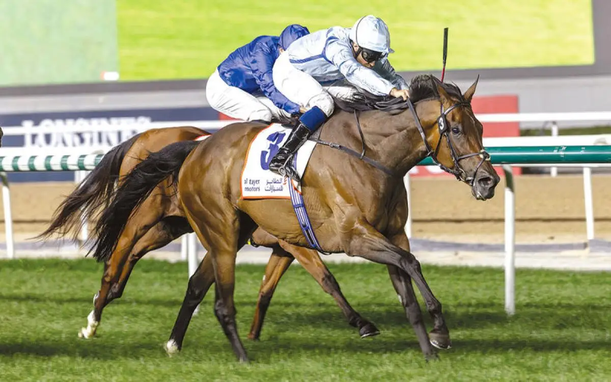«فيري غلين» تسبق الأفراس في دبي