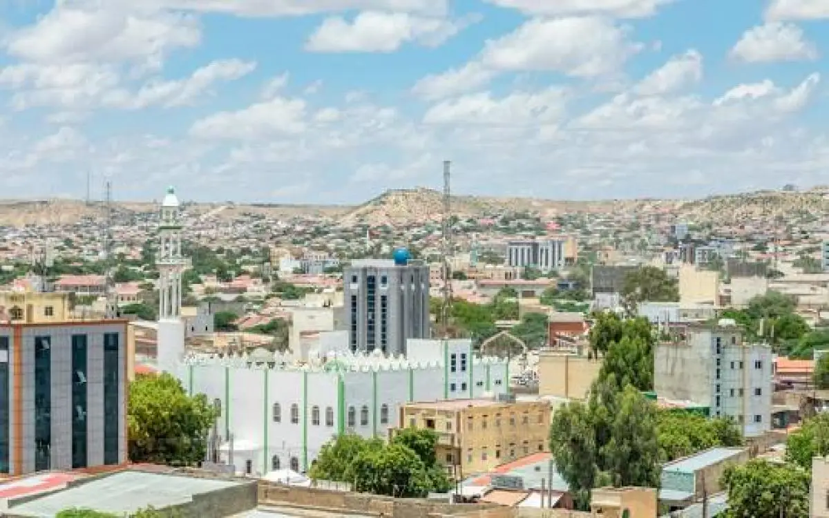 "أرض الصومال" تفتح باب المعادن أمام أميركا