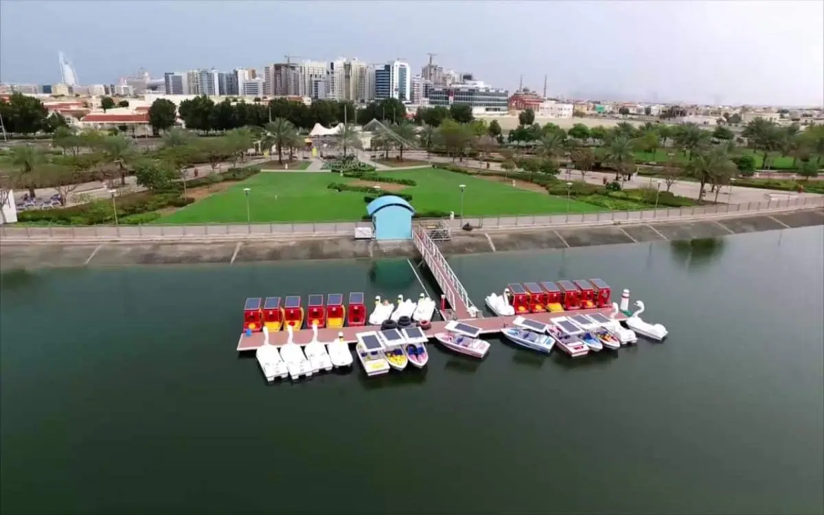 اعتراض جوي ناجح في دبي ووفاة مقيم