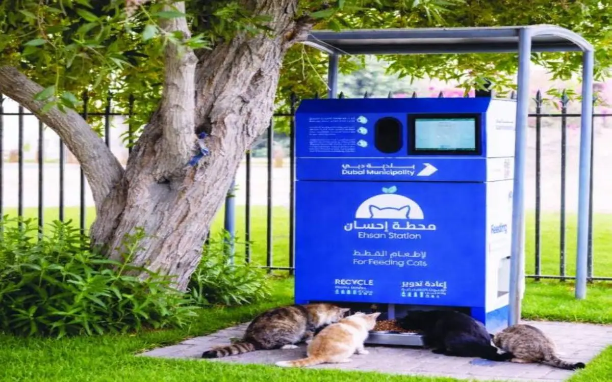 دبي تطلق ذكاءً اصطناعياً رحيماً بالحيوانات الأليفة