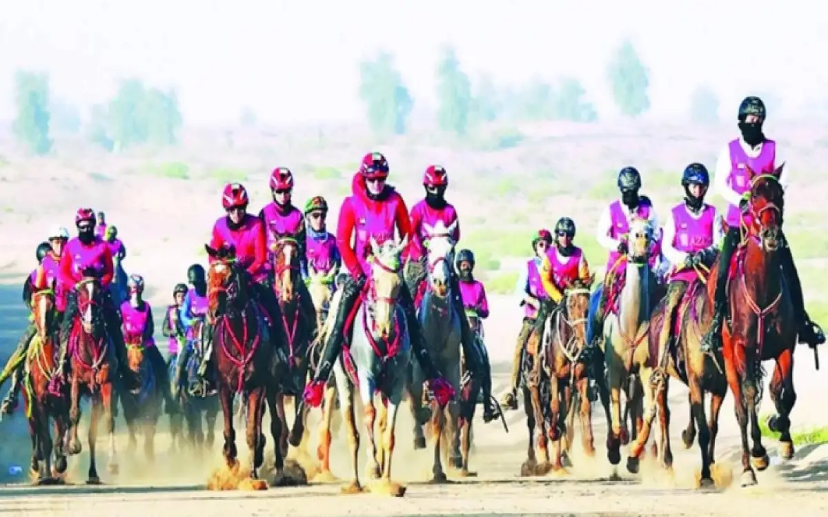 فارسات القدرة يتنافسن في دبي "من الصفراء إلى البيضاء"