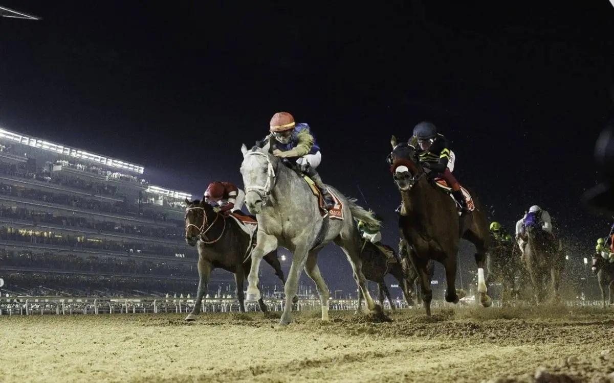 100 جواد و30.5 مليون دولار في "ميدان" دبي